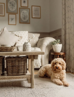 Vintage Rugs
