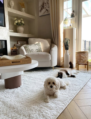 Shaggy Rugs