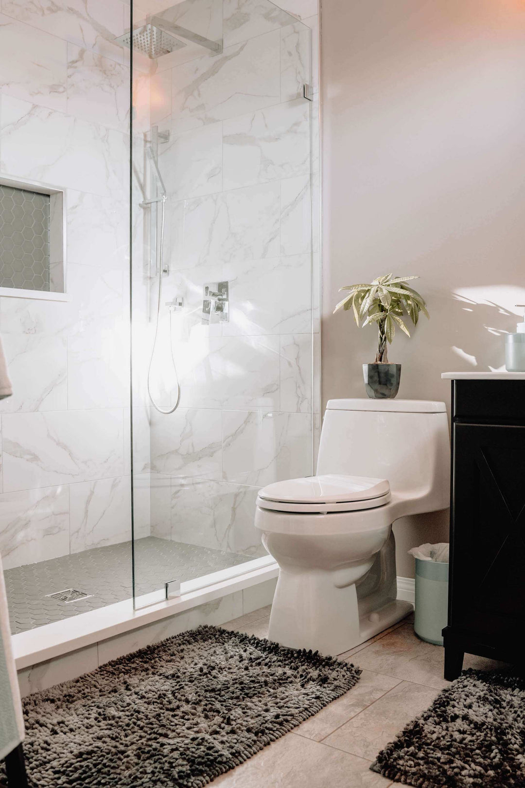 Modern bathroom featuring a glass shower, toilet, decorative plant, and plush rugs for a stylish look.