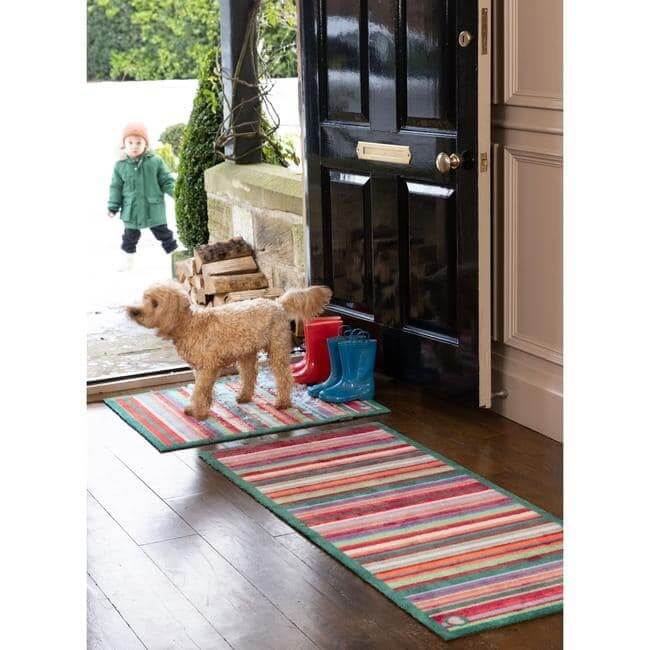 The Rugs Eco-Friendly Washable Striped Mat | Trap 95% Dirt
