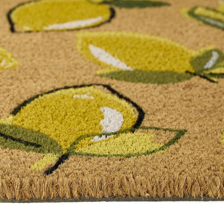 The Rugs Quality Colourful Natural Coir Doormat - 45x75cm