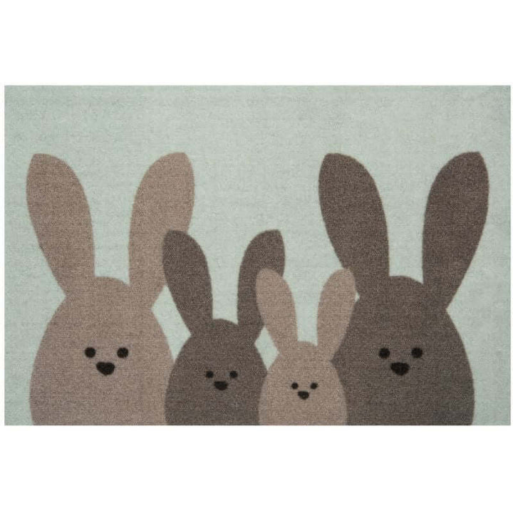 The Rugs Winter Design Doormat – Stylish & Durable 40x60 cm