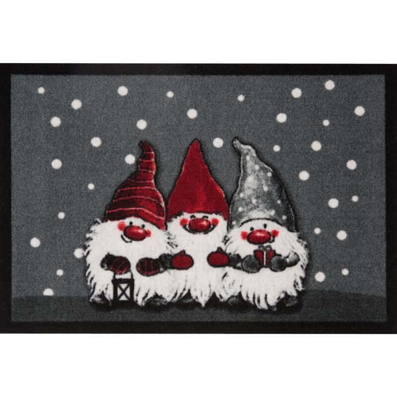 The Rugs Winter Design Doormat – Stylish & Durable 40x60 cm