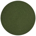 Indoor Outdoor Trenzado Green Rug