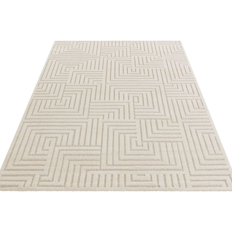 Soft Pile Rug with High-Low Texture