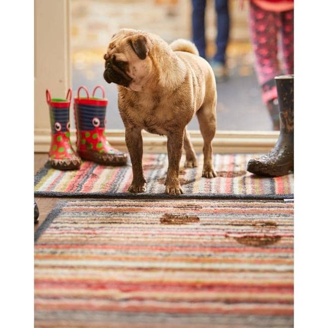 The Rugs Eco-Friendly Washable Striped Mat | Trap 95% Dirt