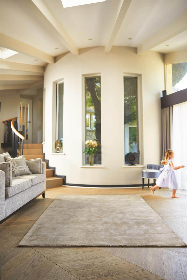 Karma Mink Solid Luxury Viscose Rug – The Rugs