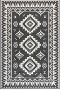 Dynamic Indoor & Outdoor Reversible Black Rug