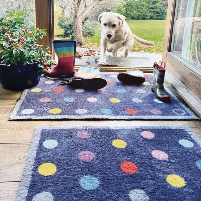 The Rugs Eco-Friendly Washable Dots Mat |Stylish & Practical