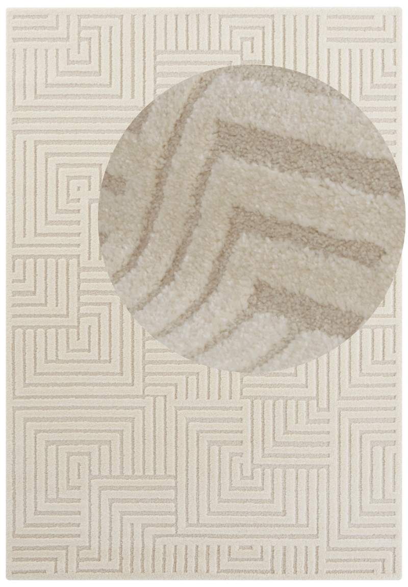 Soft Pile Rug with High-Low Texture