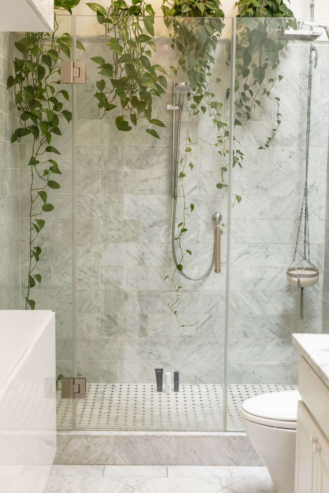 Stylish glass shower with green hanging plants and marble tiles, creating a fresh and inviting bathroom atmosphere.