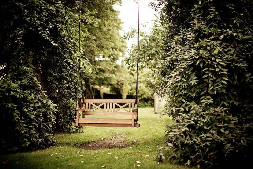 Wooden swing hanging between lush greenery in a serene outdoor setting.