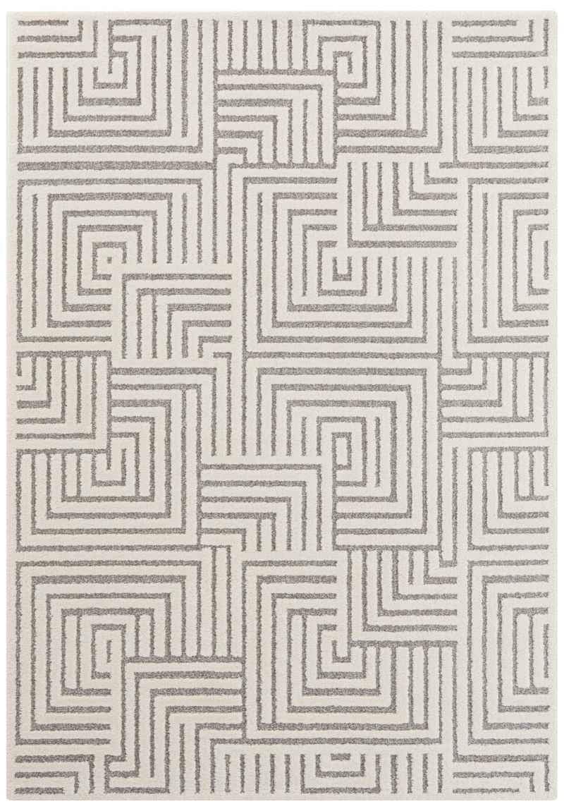 Soft Pile Rug with High-Low Texture