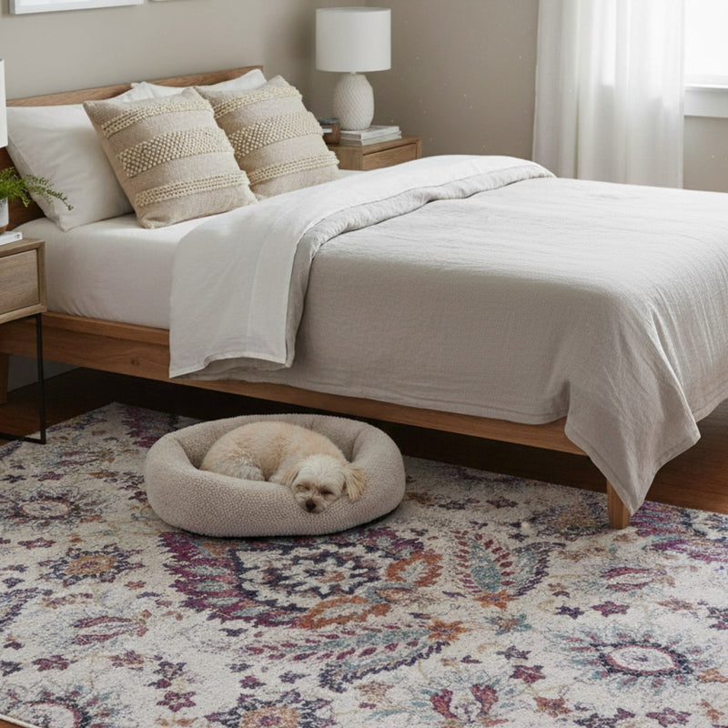Comfort for You and Your Pets