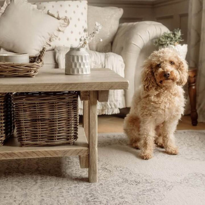 Pet-Friendly