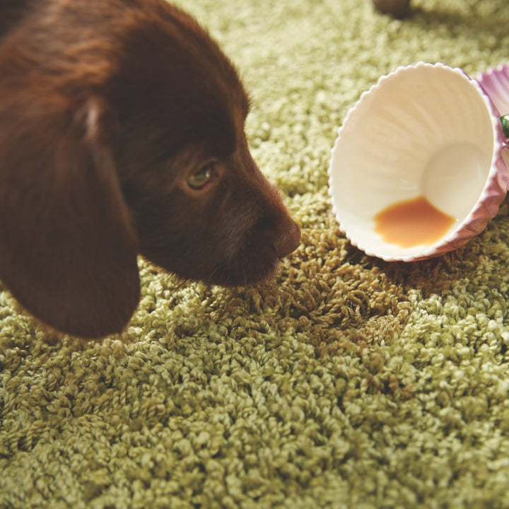 The Rugs Soft Tufted Washable Rugs - Soft & Durable