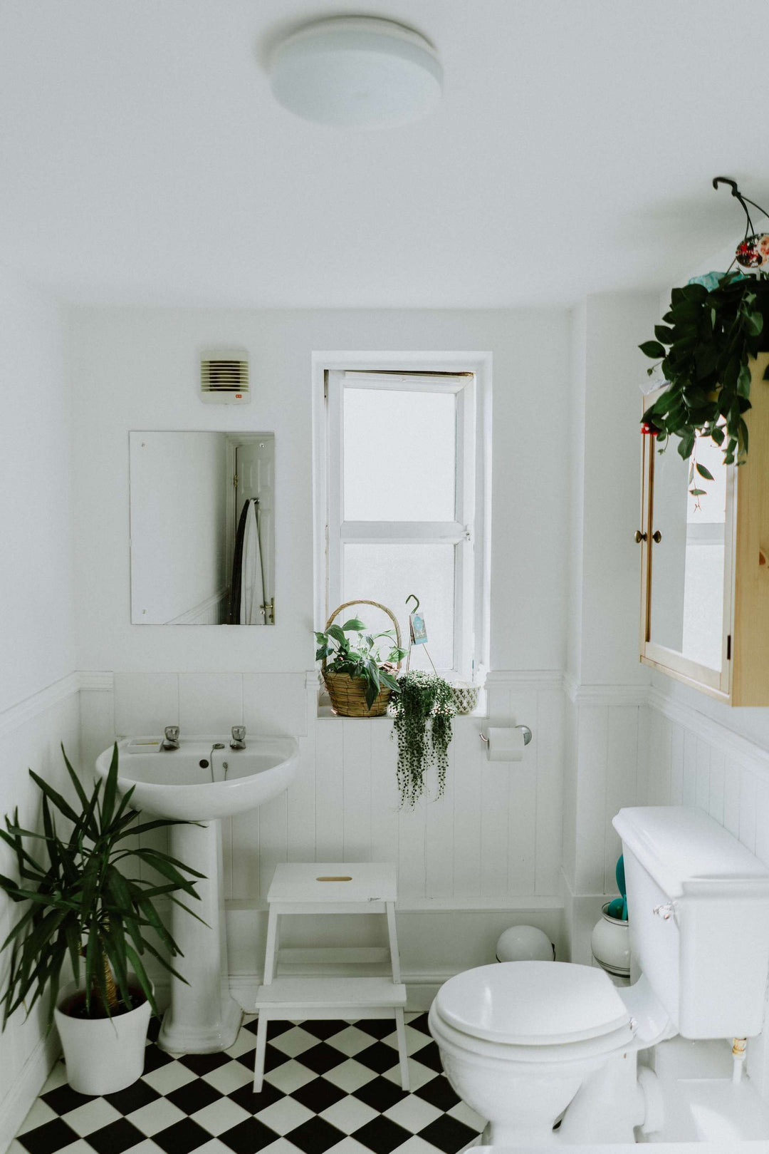 Modern bathroom interior with white walls, a window, potted plants, and a checkered floor.