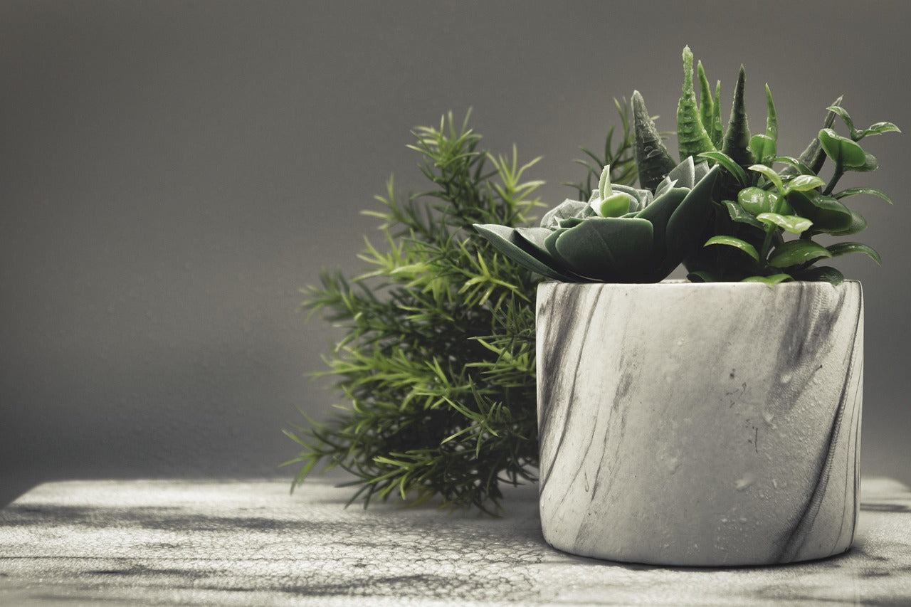 Stylish marble pot with various green succulents and plants on a textured surface.