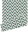 Duo Weave Outdoor Green Rug Chevron
