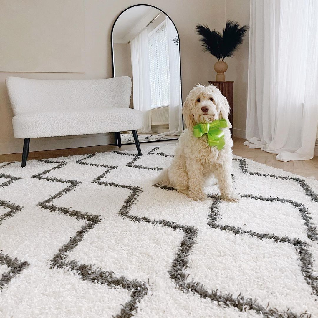 How to Clean a Shaggy Rug