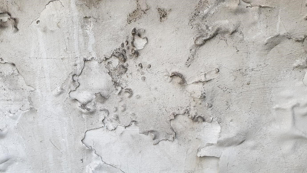 How to Repair Damp Internal Walls