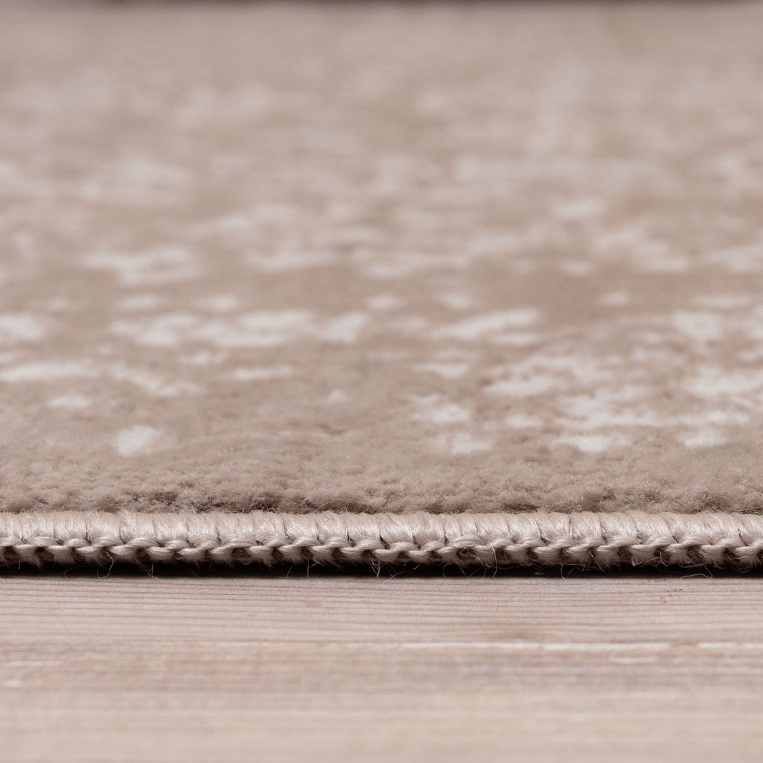 Living Room Rug Vintage Design In Beige high durability