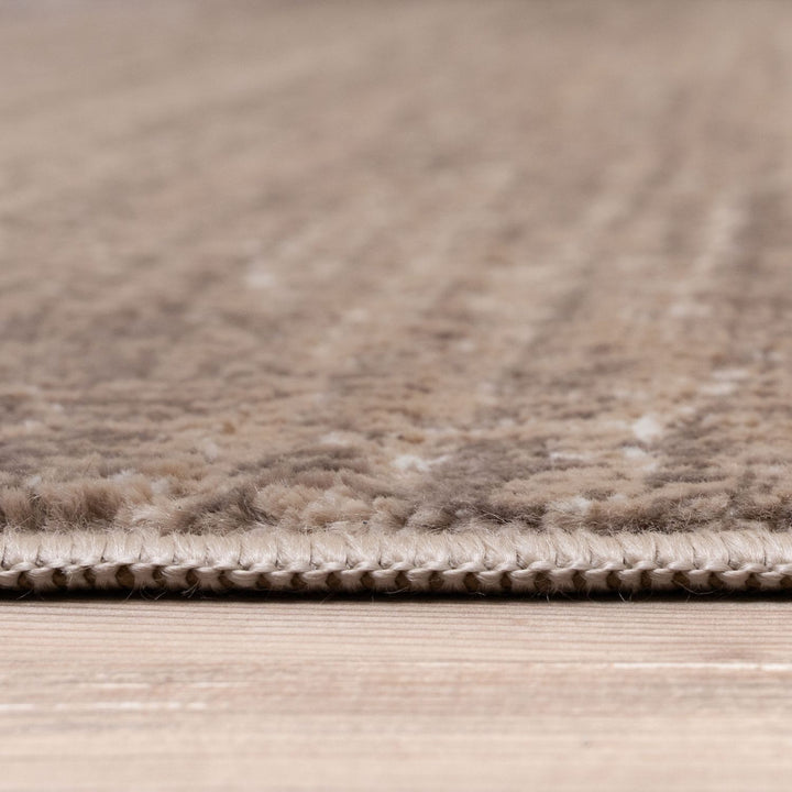 Beige Rug Exclusive Elegant Pattern