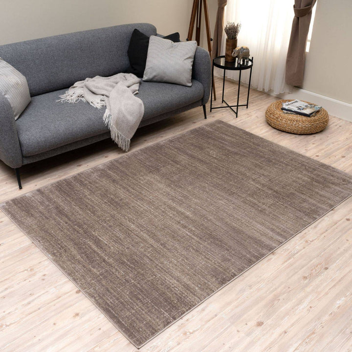 Beige Rug Exclusive Elegant Pattern