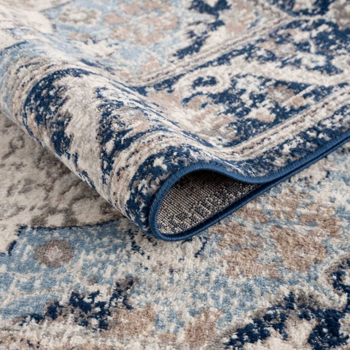 Living Room Oriental Rug in Blue