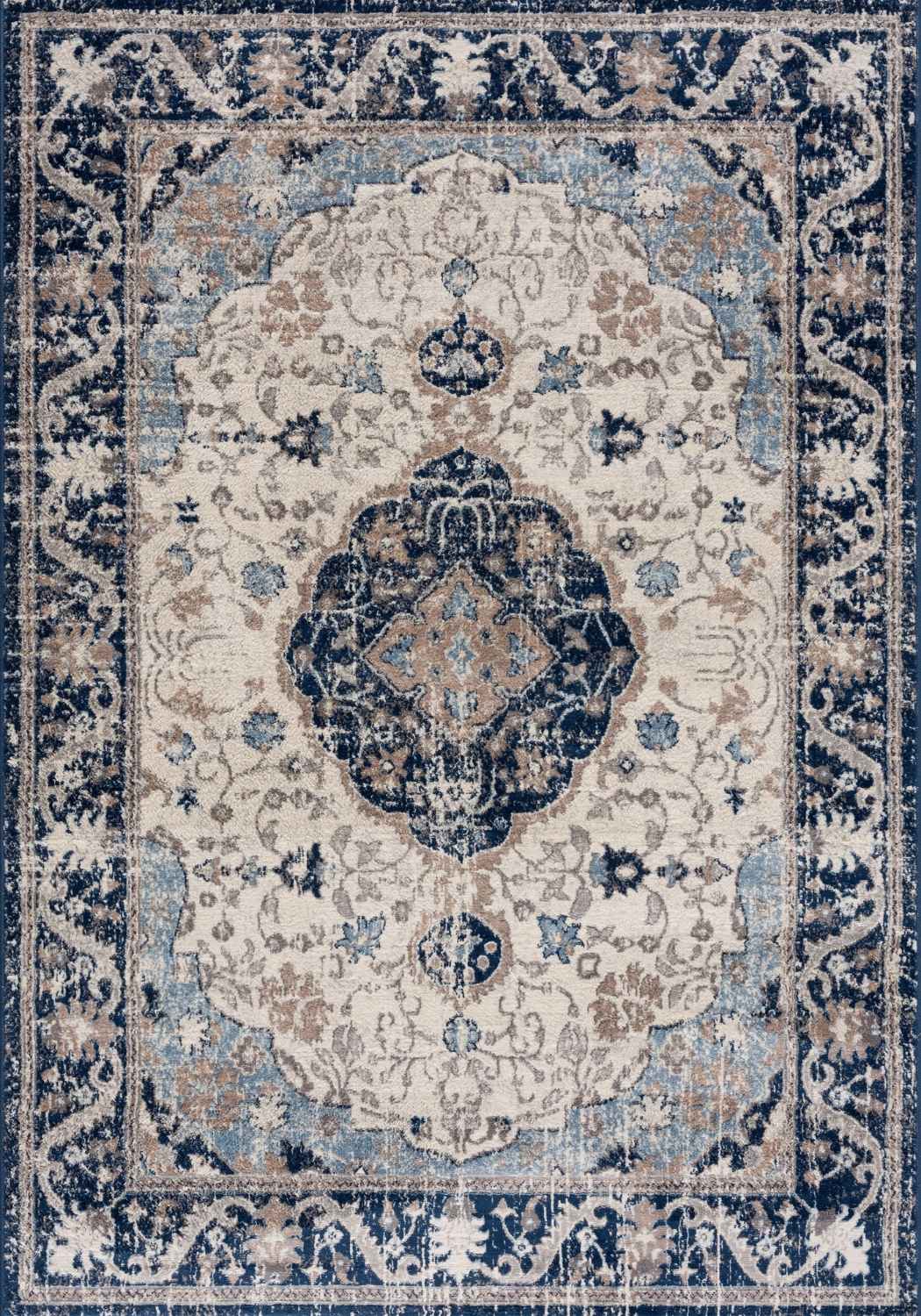 Living Room Oriental Rug in Blue