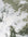 Elaris Abstract Green Rug, abstract design, non-shedding, easy to clean, eco-friendly|The Rugs