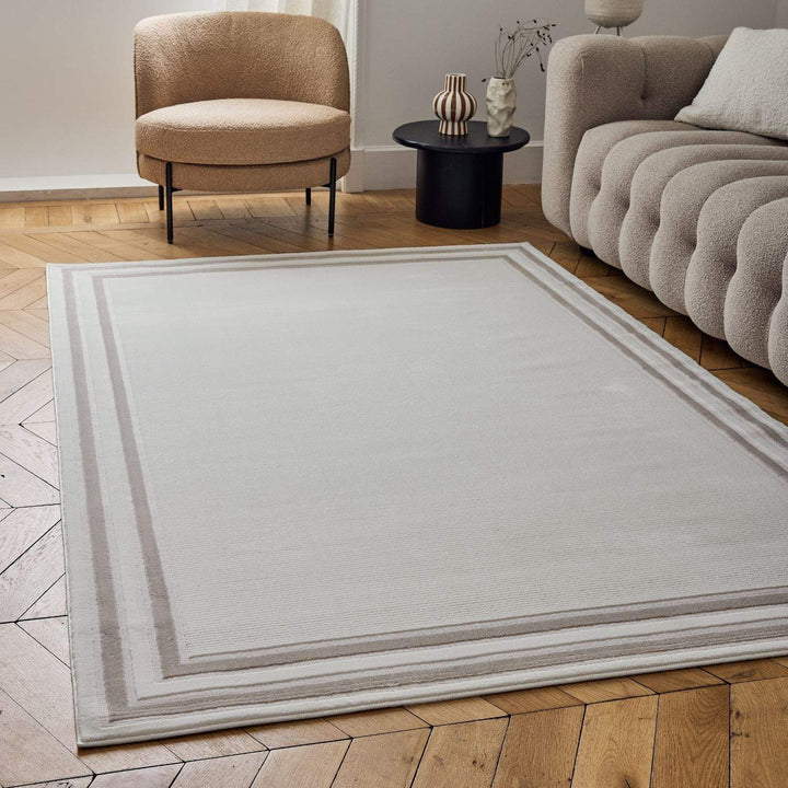 Beige rug with a decorative border in a living room setting.
