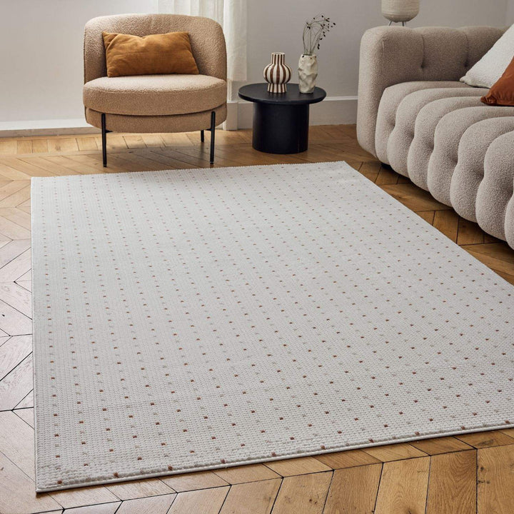 Living Room rug, dots, practicality in mind, the rug is anti-allergic.