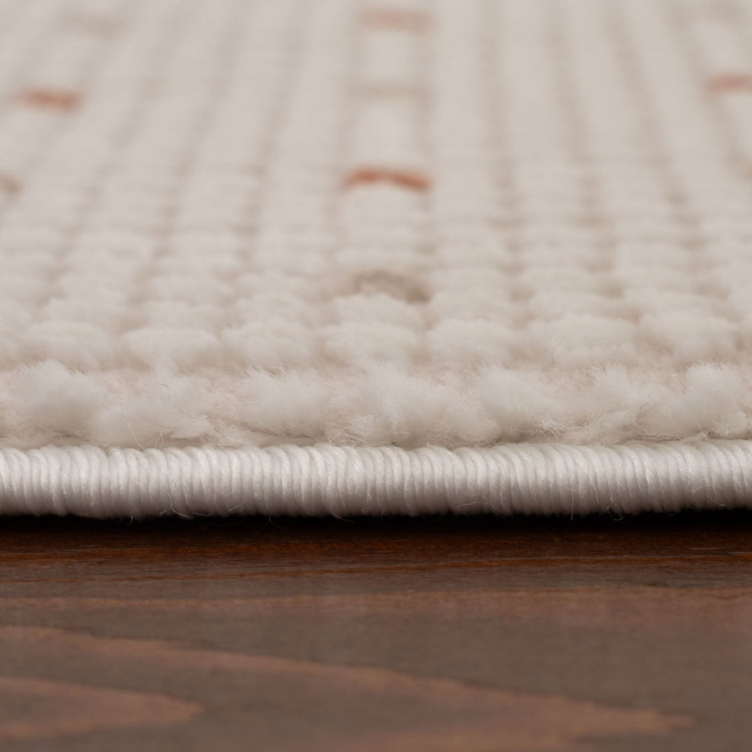 Living Room rug, dots, practicality in mind, the rug is anti-allergic.