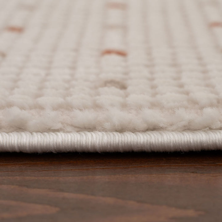 Living Room rug, dots, practicality in mind, the rug is anti-allergic.