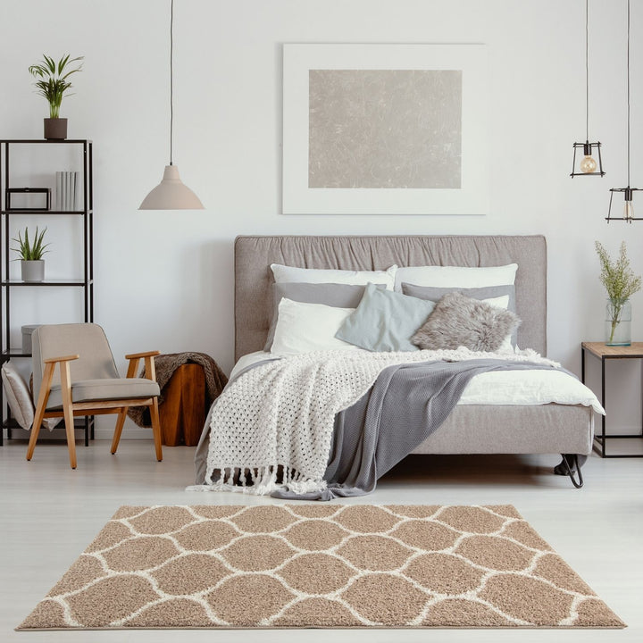 Trellis Design Thick Shaggy Area Rugs Beige
