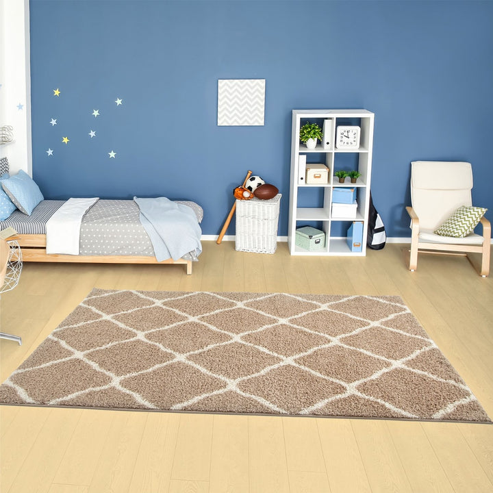 Moroccan Design Thick Shaggy Area Rugs Beige