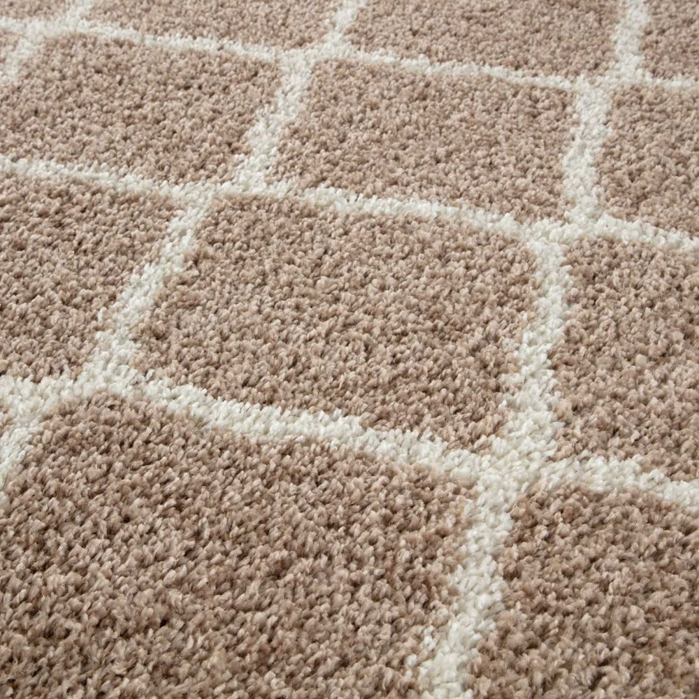 Moroccan Design Thick Shaggy Area Rugs Beige