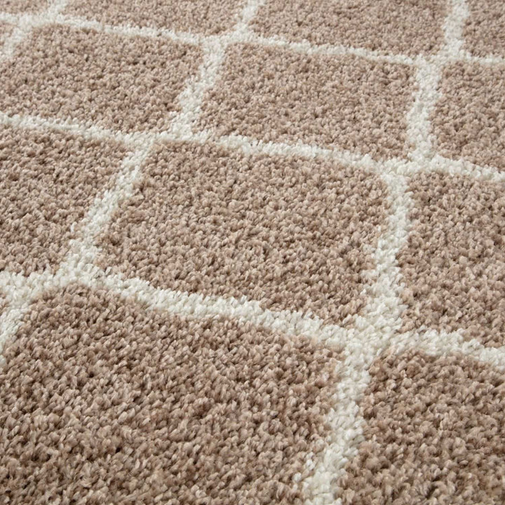 Moroccan Design Thick Shaggy Area Rugs Beige