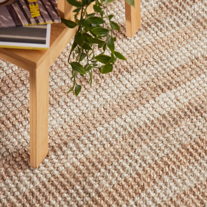 Close-up of a textured beige carpet with a plant and wooden furniture.
