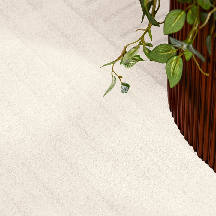 Close-up of a plant with green leaves on a textured white surface