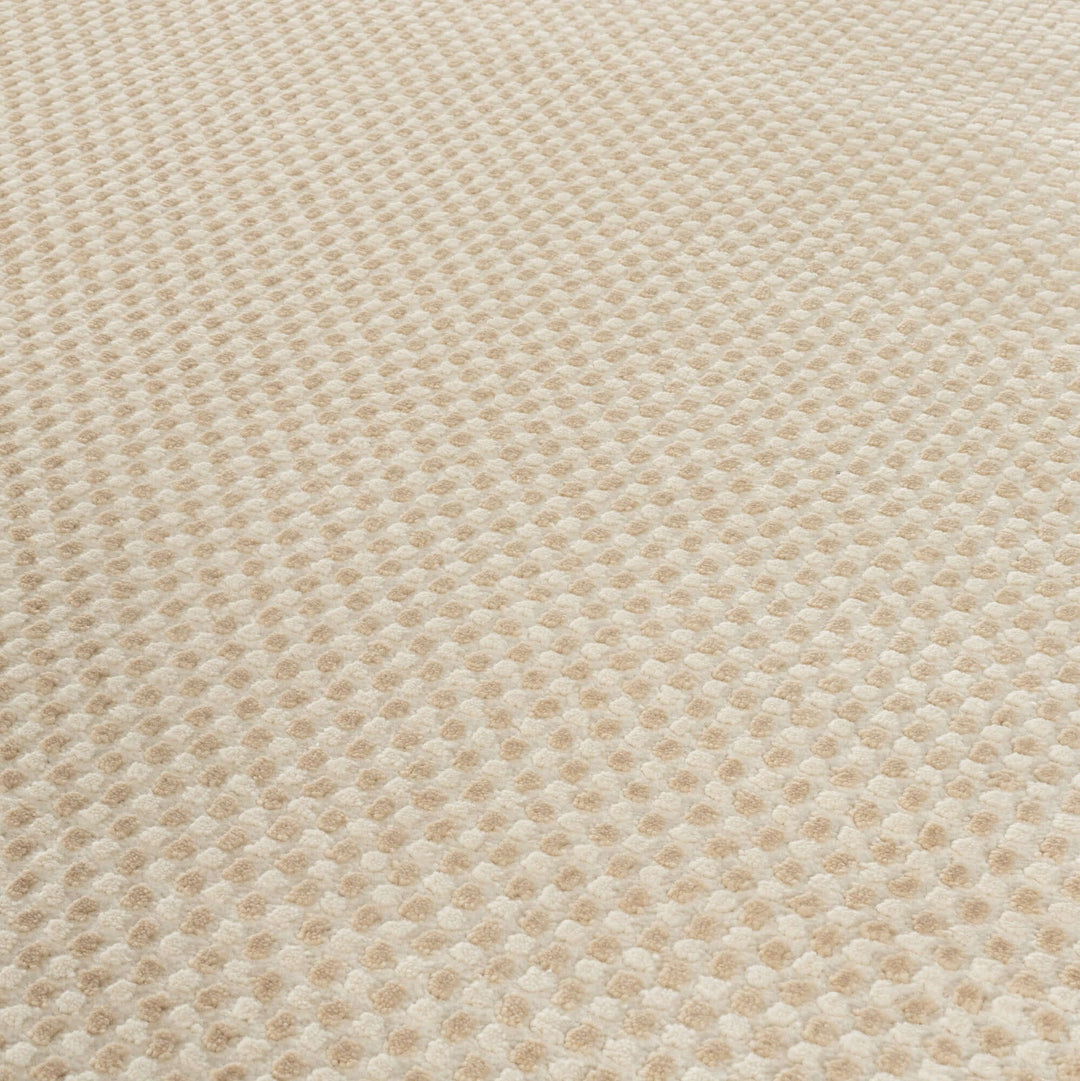 The Rugs Modern Living Room Rug - Dots Design Mosaic Rug in Beige