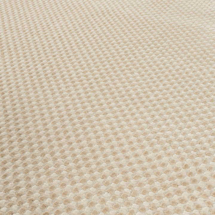 The Rugs Modern Living Room Rug - Dots Design Mosaic Rug in Beige