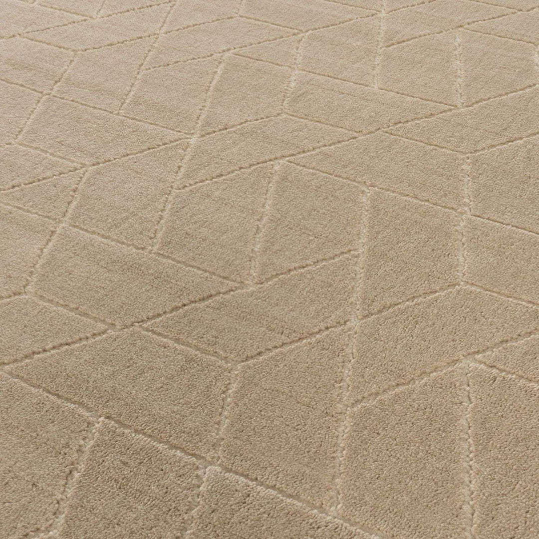The Rugs Prism Beige Area Rug | Soft & Durable Home Decor