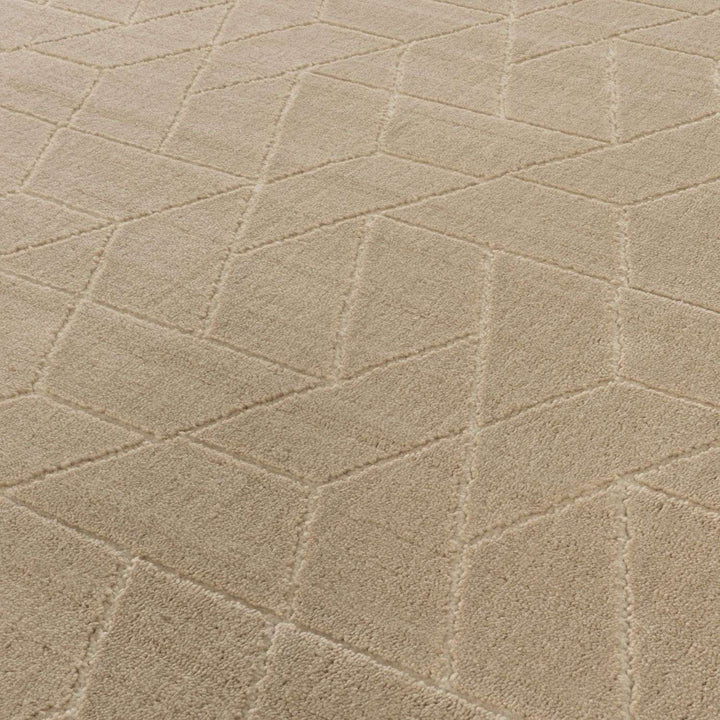 The Rugs Prism Beige Area Rug | Soft & Durable Home Decor