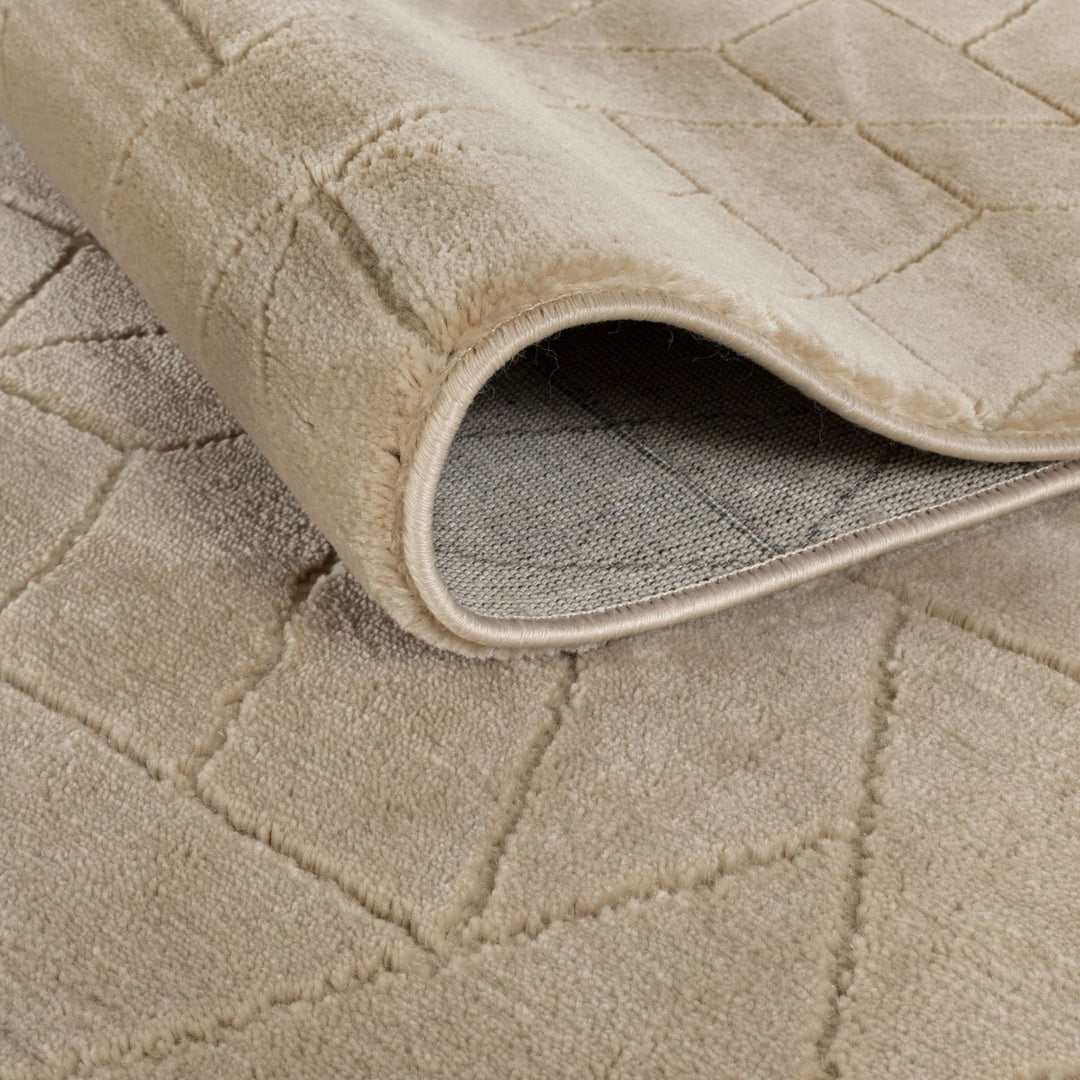 The Rugs Prism Beige Area Rug | Soft & Durable Home Decor