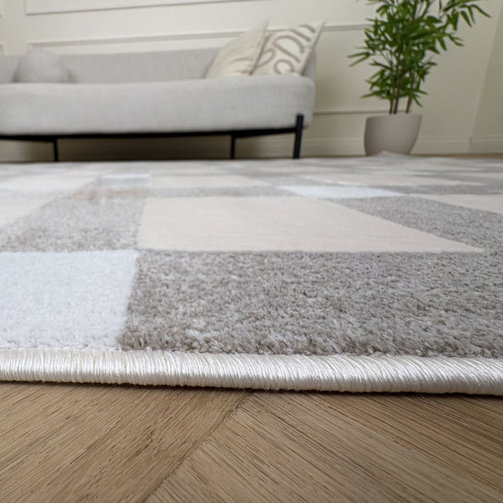 Patterned rug on a wooden floor with a sofa and plant in the background