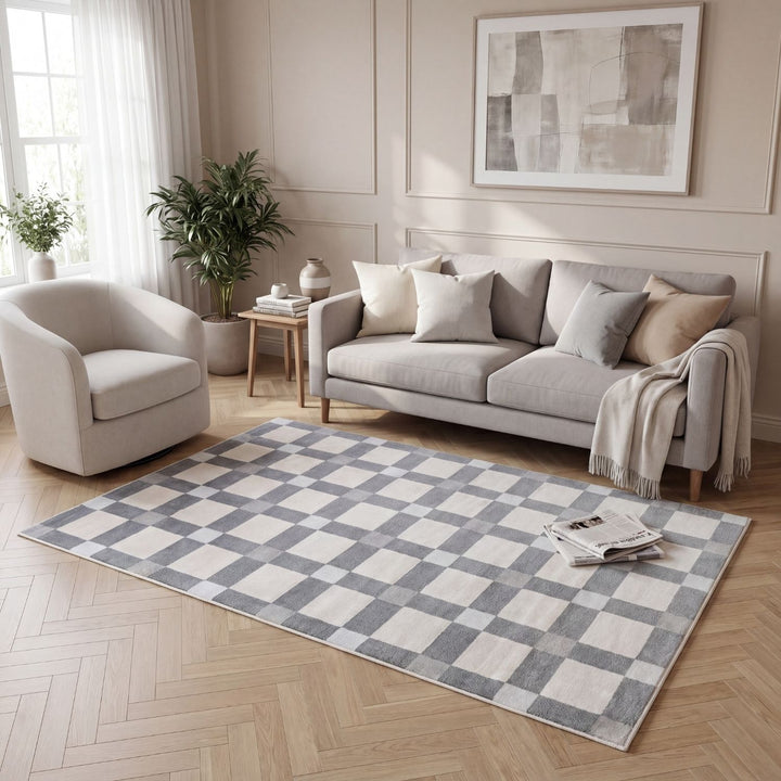 Living room with a checkered rug, sofa, and armchair.