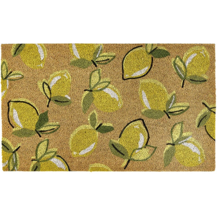 Colourful Natural Coir Doormat - 45x75 cm