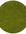 Premium Shaggy Rug Plain Green Rectangle Shape | The Rugs